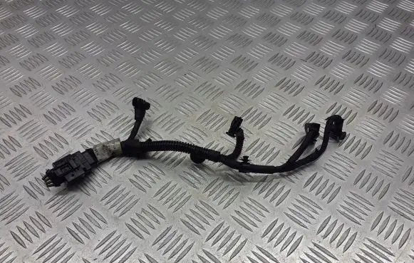 Ford C-MAX I Fuel injector wires 