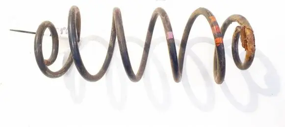 Rear coil spring