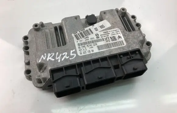 Peugeot 207 Engine control unit/module 9662519580