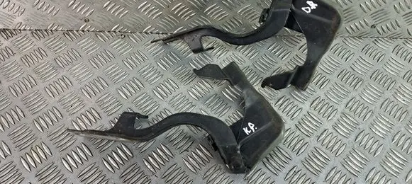 Opel Antara Engine bonnet/hood hinges 