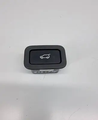 Land Rover Discovery 5 Tailgate/trunk/boot open switch CPLA10E998AA
