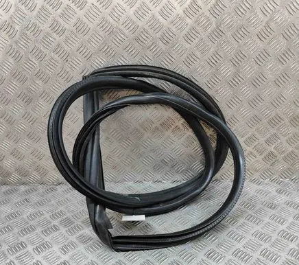 BMW 2 F22 F23 Rubber seal front coupe door 7348419