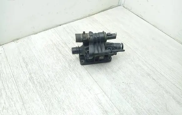 Thermostat/thermostat housing