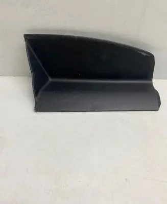 Rear/tail light trim molding
