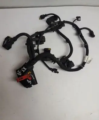 Renault Kadjar Gearbox/transmission wiring loom 2517256424
