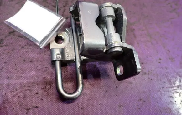 Volkswagen Golf Plus Front door lower hinge 