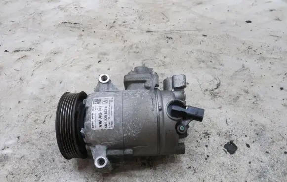 Volkswagen PASSAT B7 Air conditioning (A/C) compressor (pump) 01140562