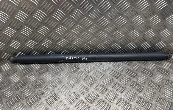 Opel Insignia A Tailgate/trunk strut/damper 315005777 13247949 1816540750N