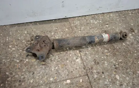 Lexus RX III Rear shock absorber/damper 4853148143