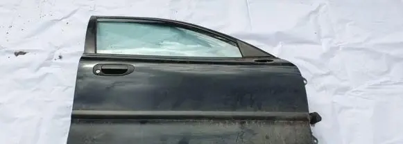 Mitsubishi Carisma Front door