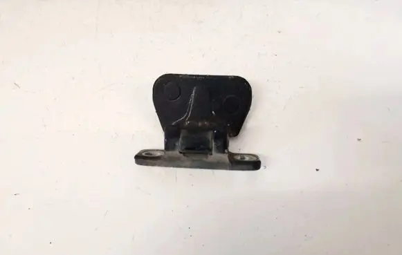 Tailgate/trunk/boot hinge
