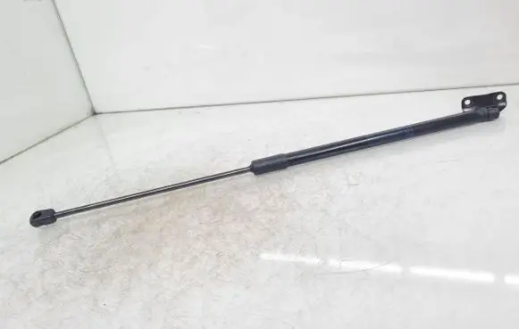 Tailgate/trunk strut/damper
