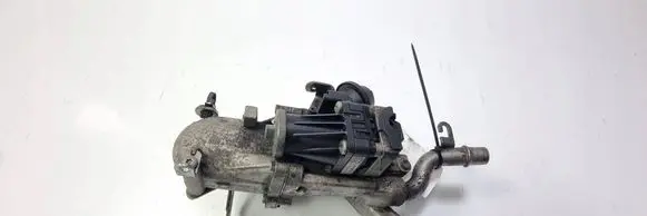 Citroen C4 II Picasso EGR valve 9802194080
