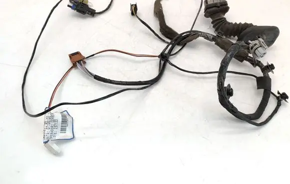 Renault Espace - Grand espace IV Front door wiring loom 8200192708
