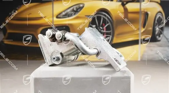 Porsche Cayenne (9PA) Rear door lower hinge 95553341103