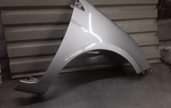 Renault Clio III Fender 