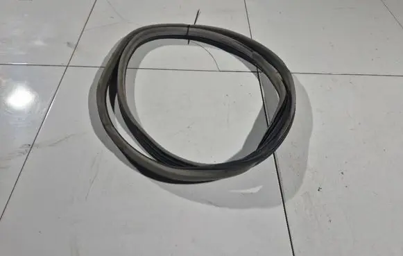 Renault Laguna II Rubber seal rear door 