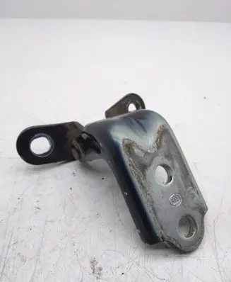 KIA Optima Rear door lower hinge