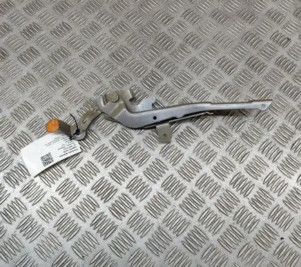 Peugeot 2008 II Engine bonnet/hood hinges 9839901380