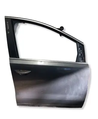 Volkswagen Sharan Front door 