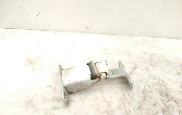 Tailgate/trunk/boot hinge