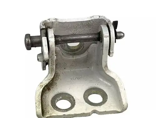 Rear door lower hinge