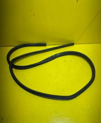 Ford Fiesta Front door rubber seal 