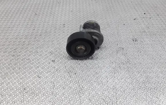 Seat Exeo (3R) Generator/alternator belt tensioner 950330