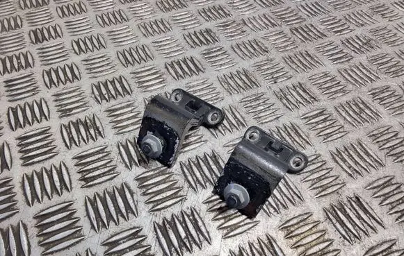 Volkswagen Golf V Loading door hinge set 