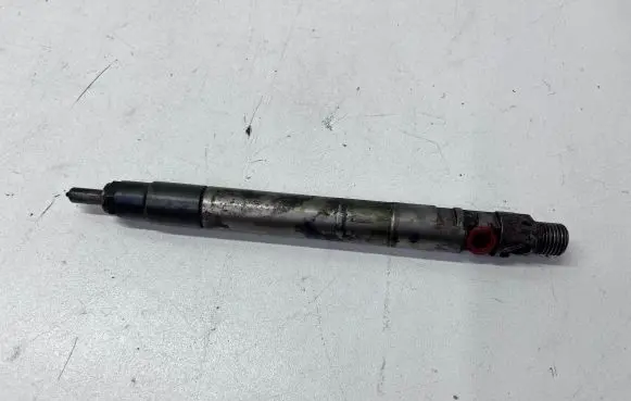 Ford Kuga I Fuel injector 35053821