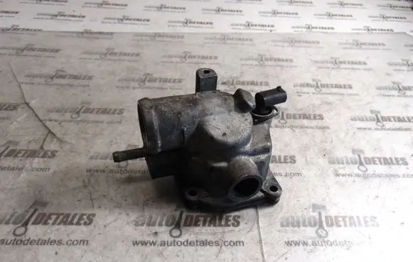 Thermostat/thermostat housing