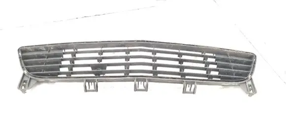 Front bumper lower grill