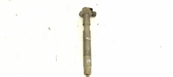 Mercedes-Benz E W212 Fuel injector 6510700587 A6510700587
