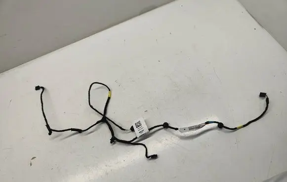 Rear door wiring loom