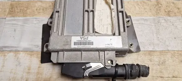 Peugeot 406 Engine control unit/module 9630650880