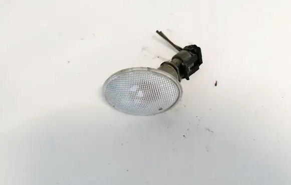 Front fender indicator light