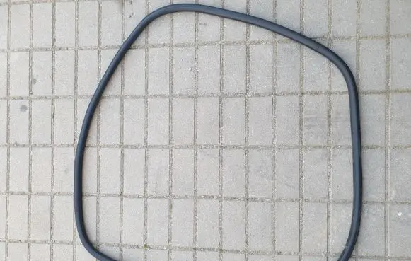 Ford Edge II Front door rubber seal
