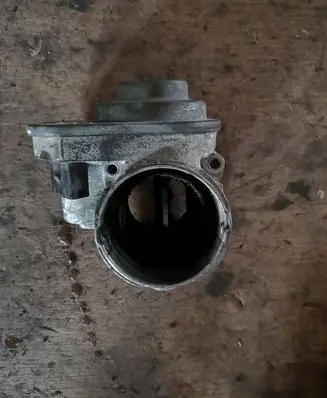 Volkswagen Golf V Throttle valve