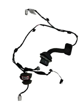 Front door wiring loom