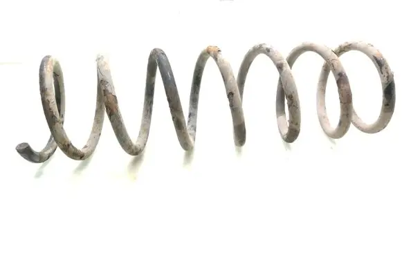 Ford Focus C-MAX Rear coil spring