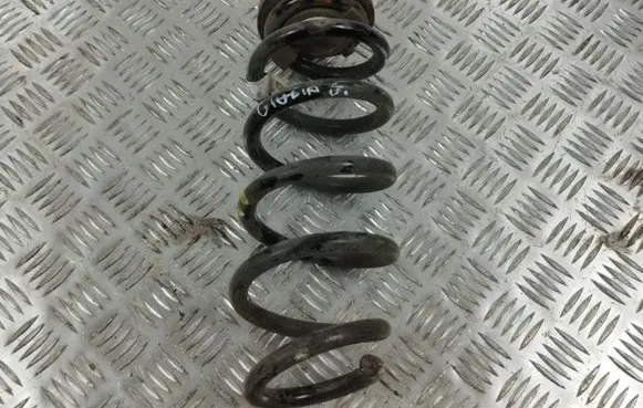 Alfa Romeo Giulia Rear coil spring 005053930004 953H303829516