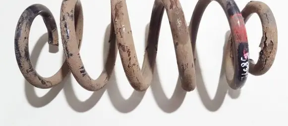 Toyota RAV 4 (XA30) Rear coil spring