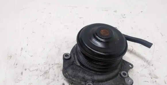 Mercedes-Benz S W221 Water pump A6422002001