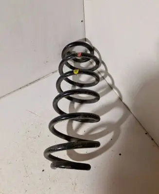 Rear coil spring