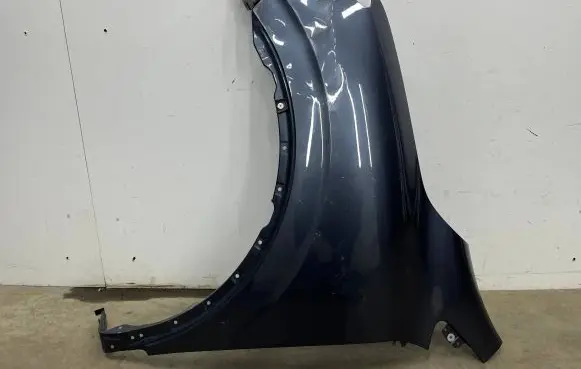Renault Kadjar Fender 8201621229