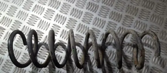 Ford Focus Rear coil spring