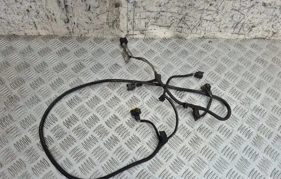 Other wiring loom