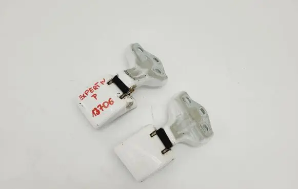 Peugeot Expert Rear door hinge set 9820017880