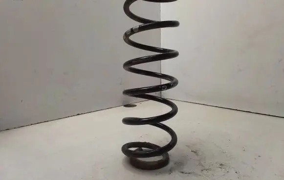 Seat Toledo II (1M) Rear coil spring