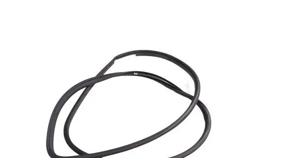 BMW X6M F86 Rubber seal front door (on door) 